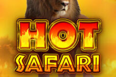 Играть в Hot Safari